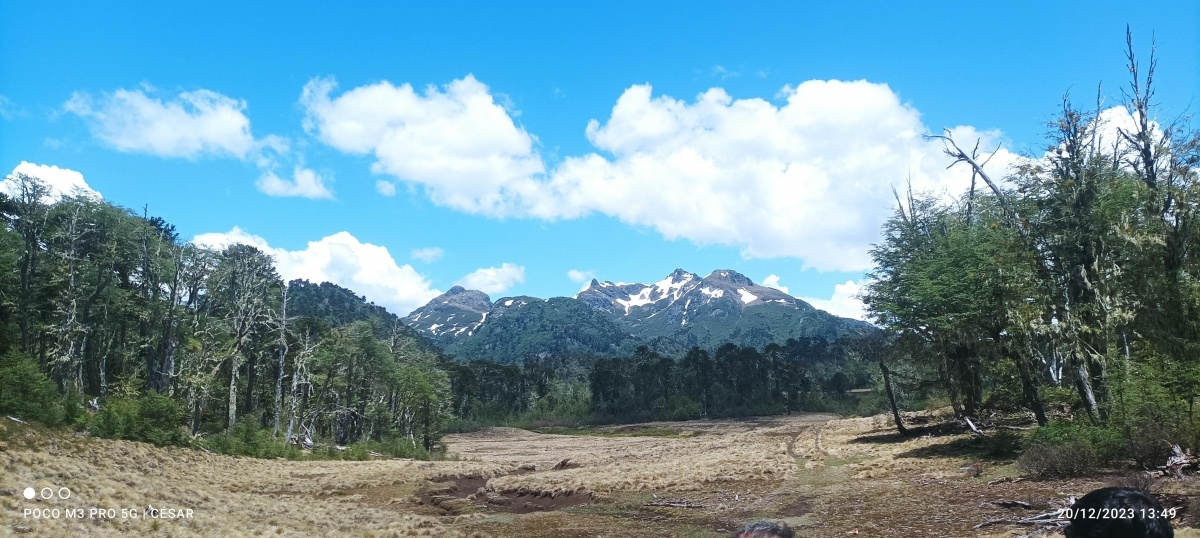 inzunza camino internacional