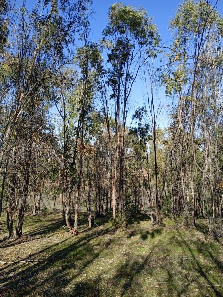 Casas Viejas S/N, Longotoma, Región de Valparaíso, Chile