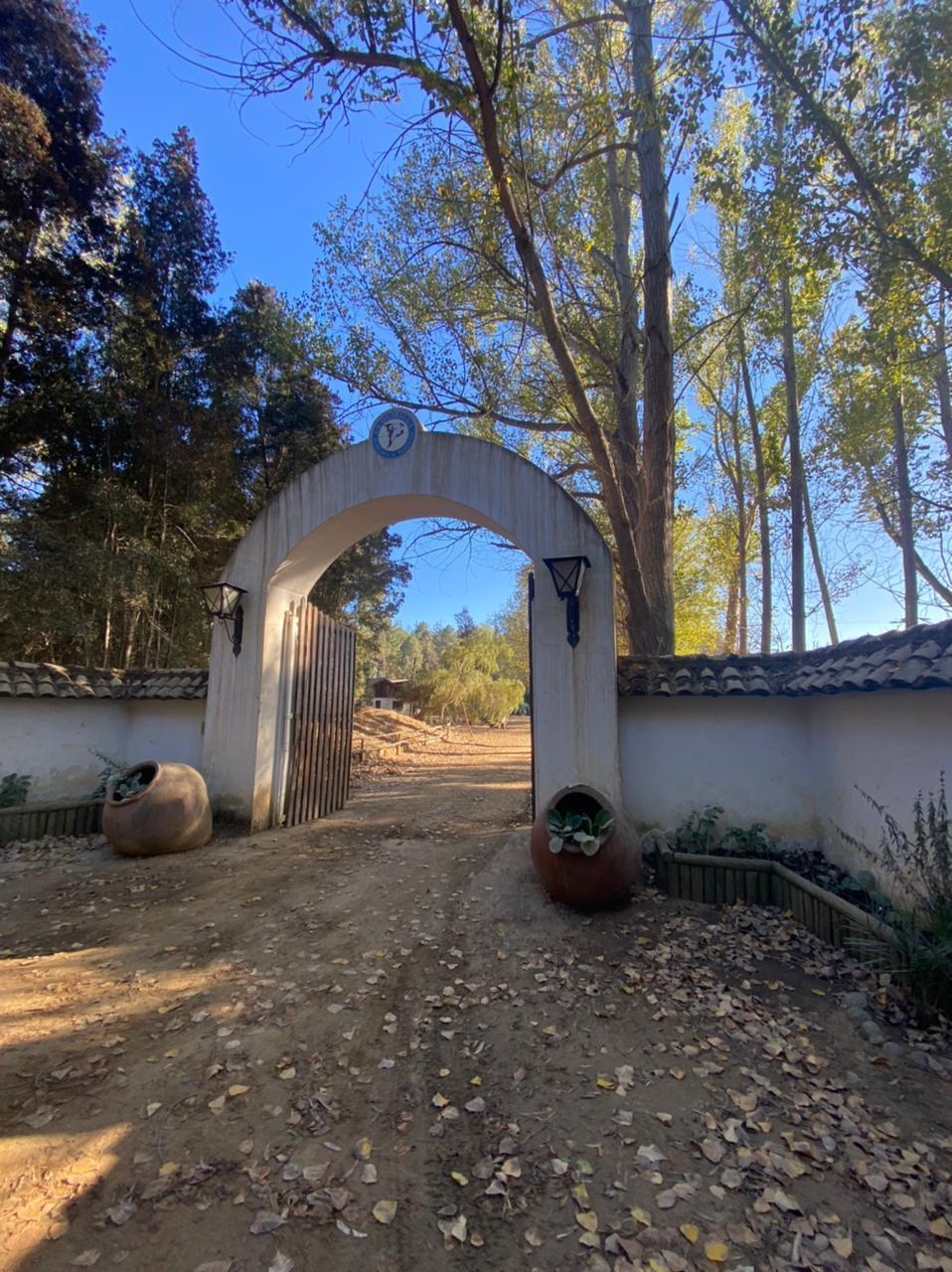 Al Contado Y con Credito Directo 