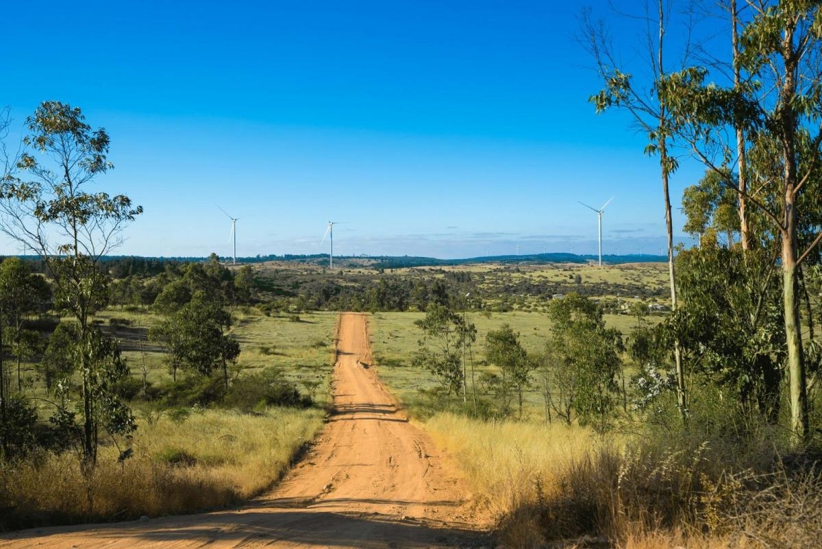 Litueche sexta region 