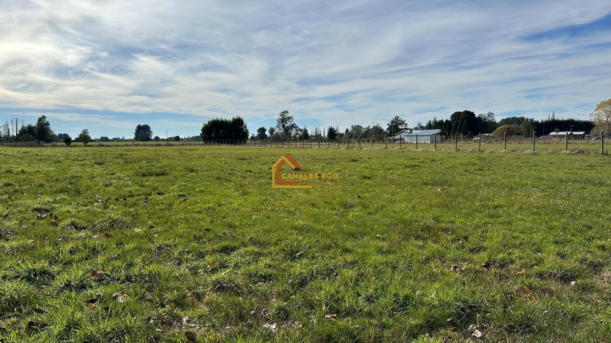 Sector Faja Maisan, Pitrufquén