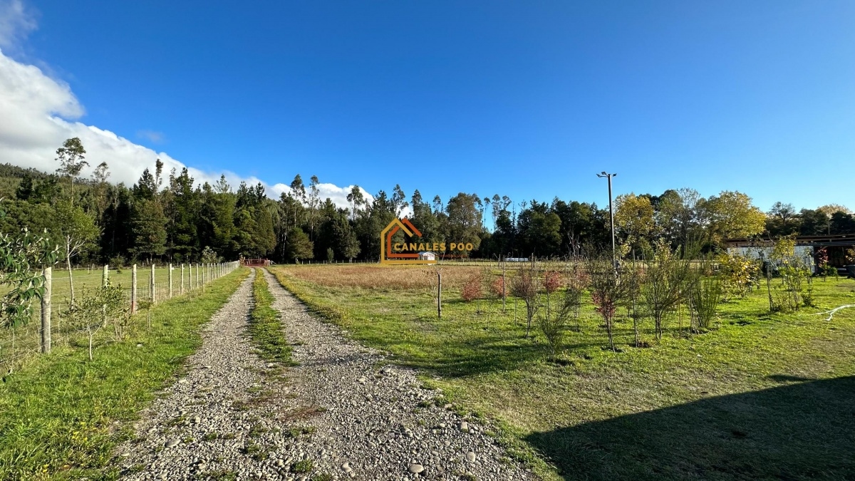 Sector Faja Maisan, Camino Quinque, Pitrufquén