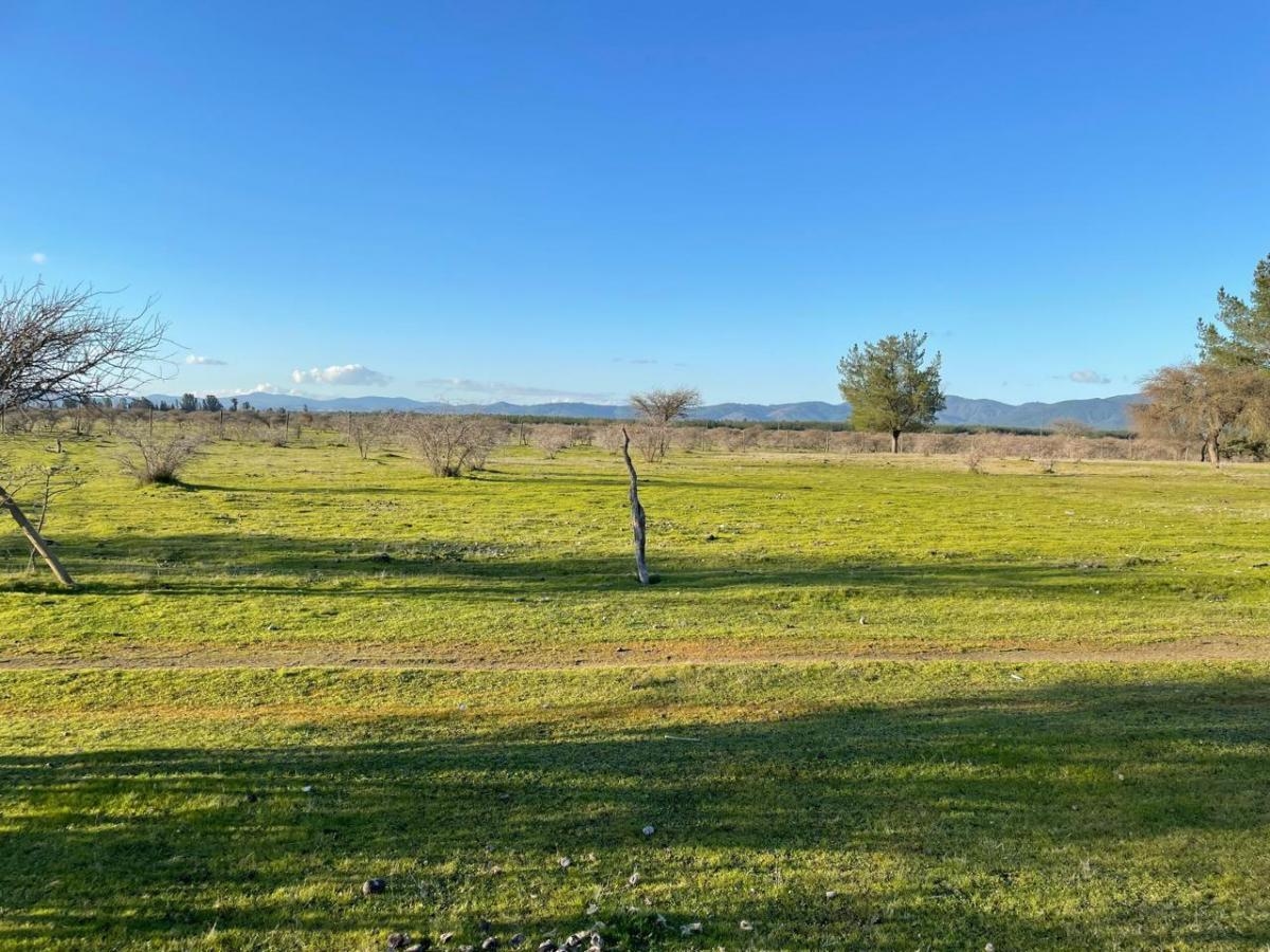 San Javier, Huerta de Maule