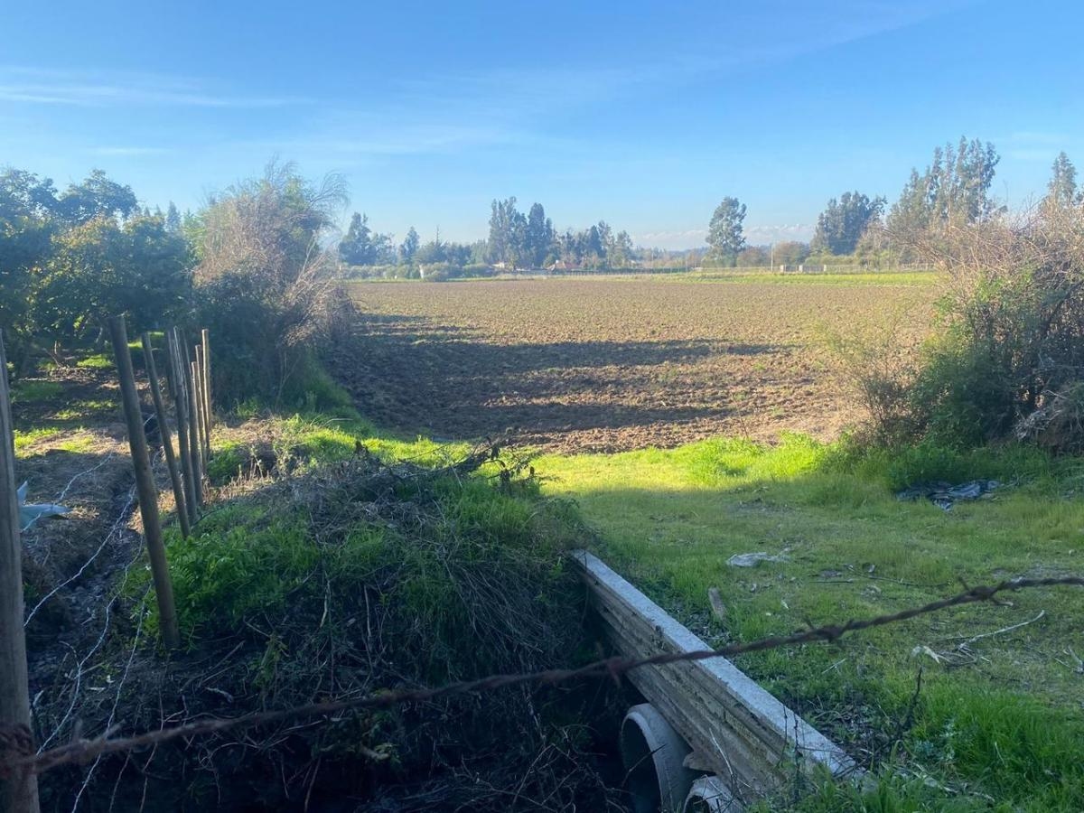 Naltahua, Isla de Maipo. 