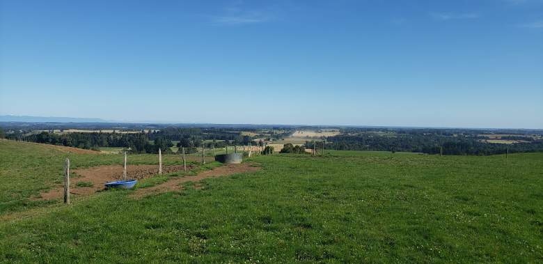 -41.253439, -73.214312