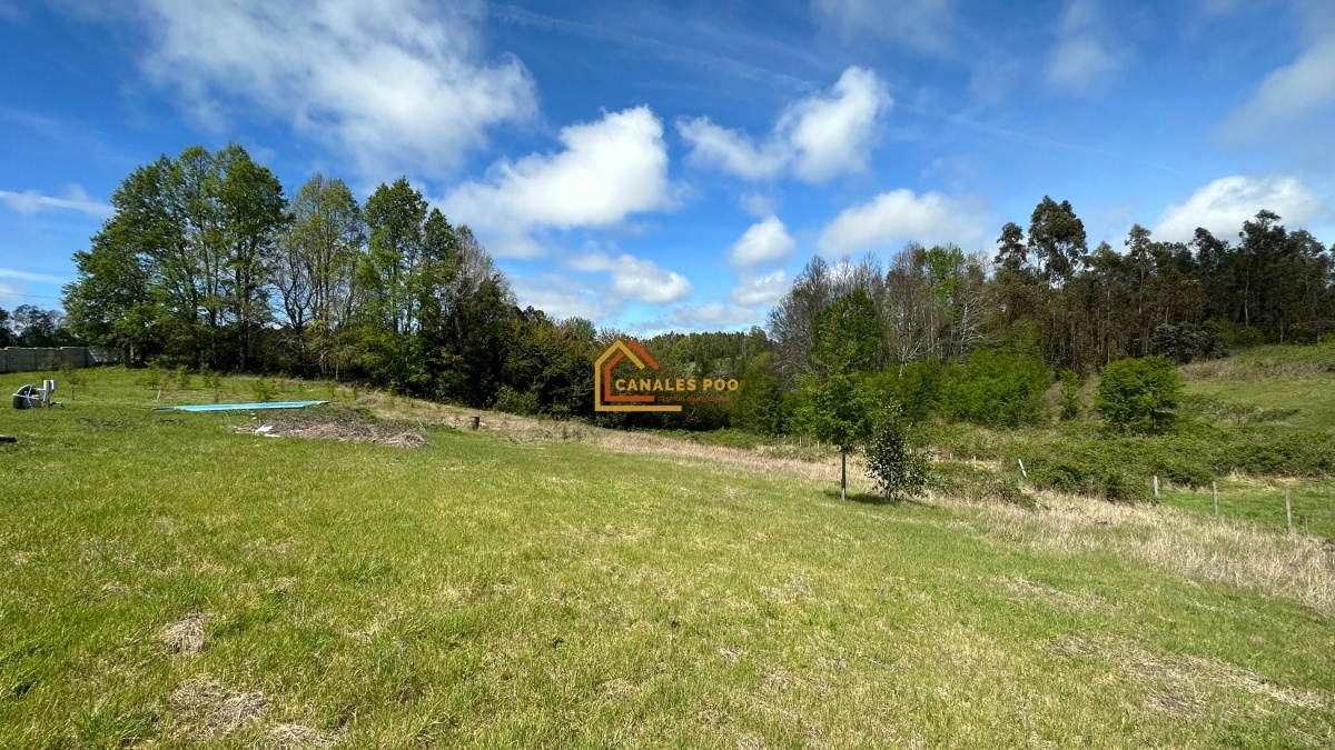 Paradero Porvenir Ruta S-65, Pitrufquén