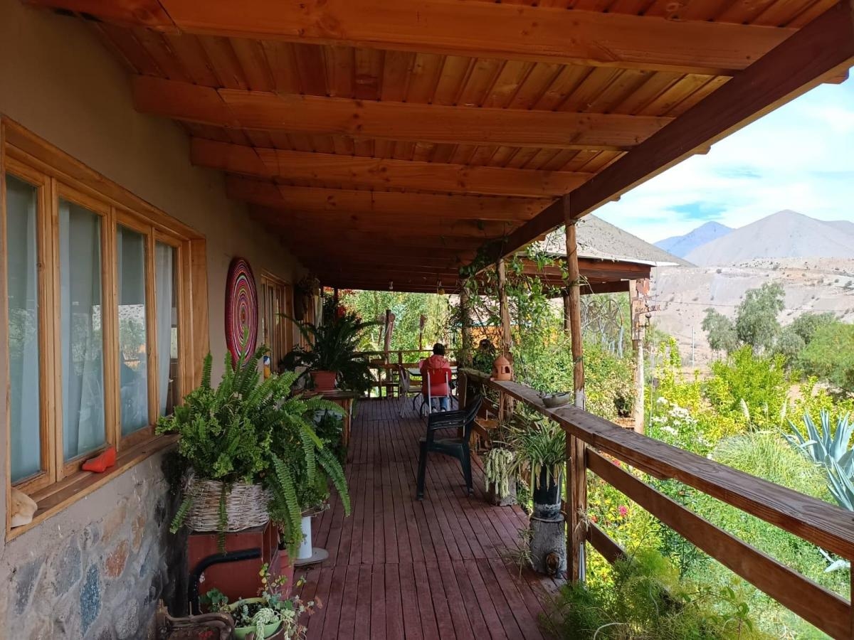 la totorita - Vicuña - Valle de Elqui