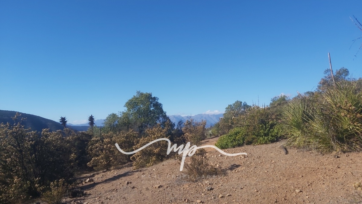 Sector Lo Rojas, comuna de La Cruz.