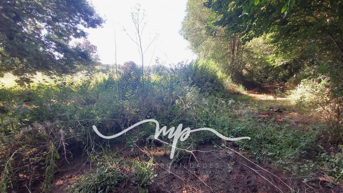 Ruta F-190, Quintero