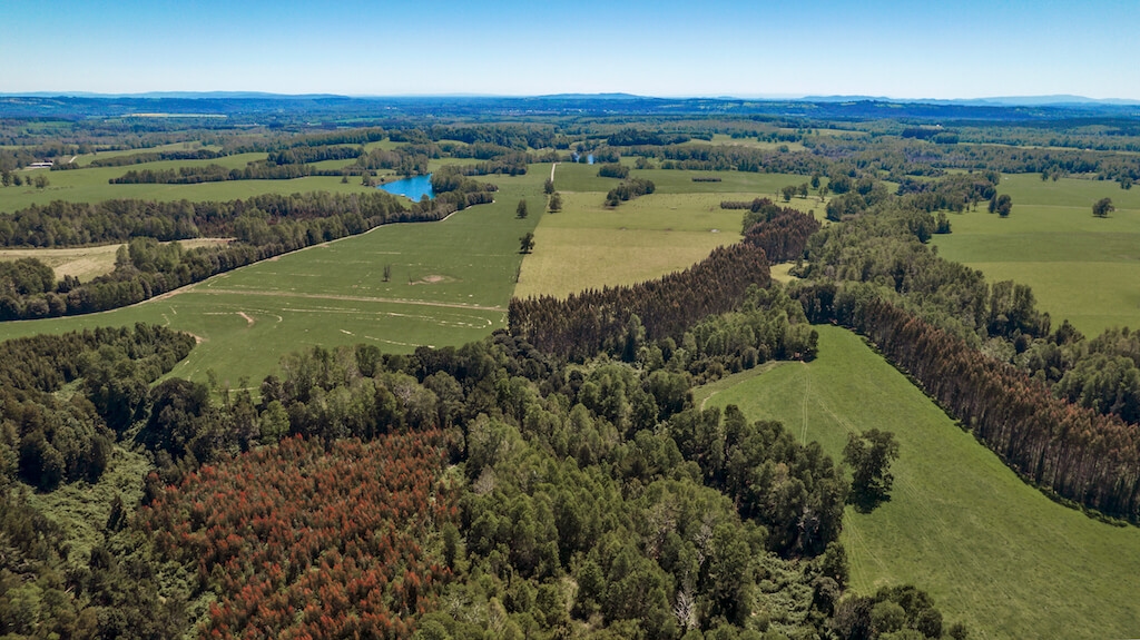 Mirador de Villarrica