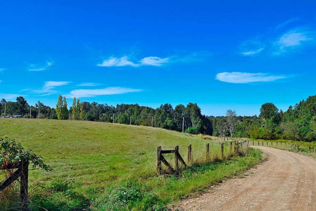Parcelas Esteros del Sur