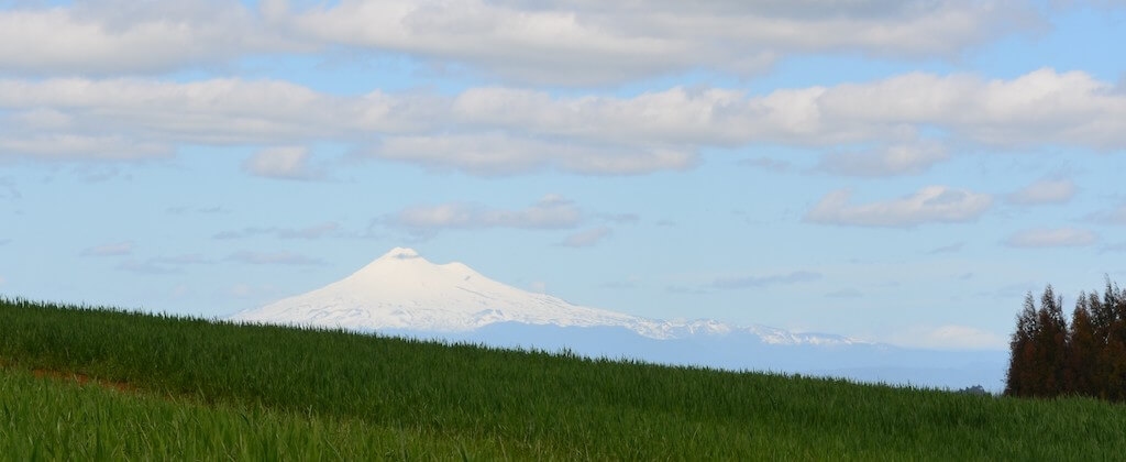 Agro Parcelas Vista Volcanes