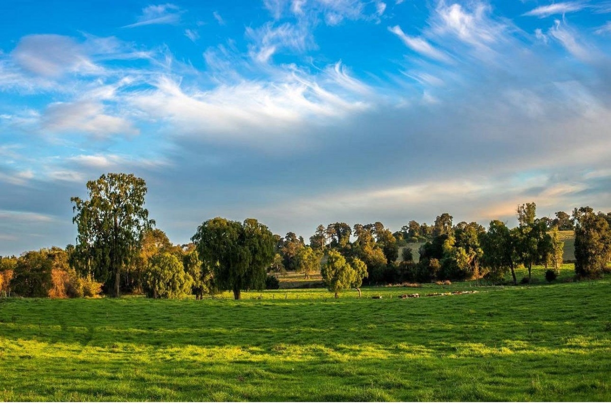 paraguay grande parcela 40