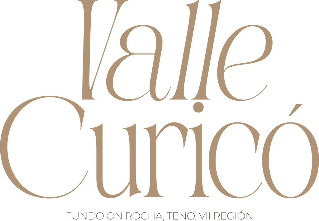 Valle Curicó logo